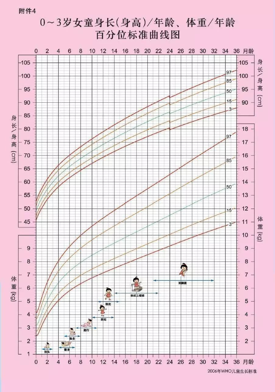 宝宝生长曲线女孩图片