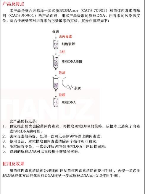一步法无内毒素质粒 DNAout50 次说明书