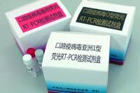 超螺旋 DNA 分子量标准100uL图片