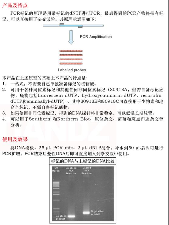 PCR 法 DNA 探针生物素标记试剂盒 5次保存