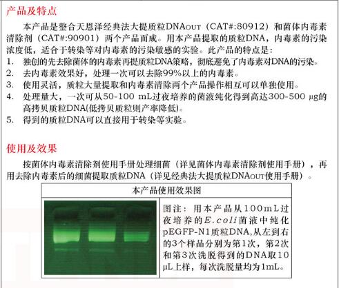 大提无内毒素质粒 DNAout10 次图片