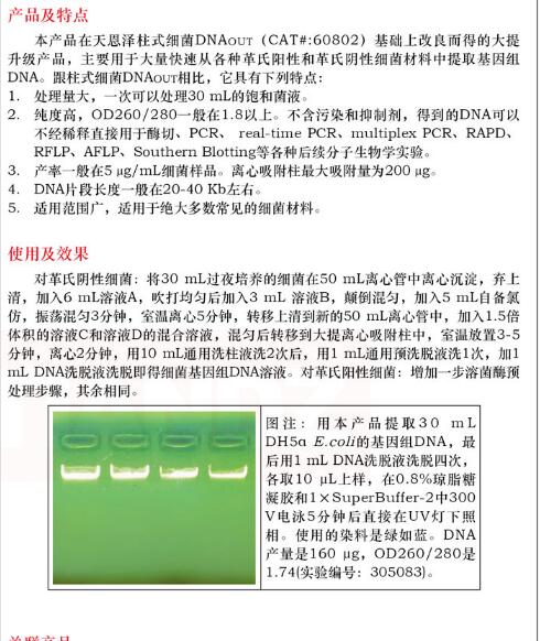 Southern 级细菌 (G-)DNAout10 次图片