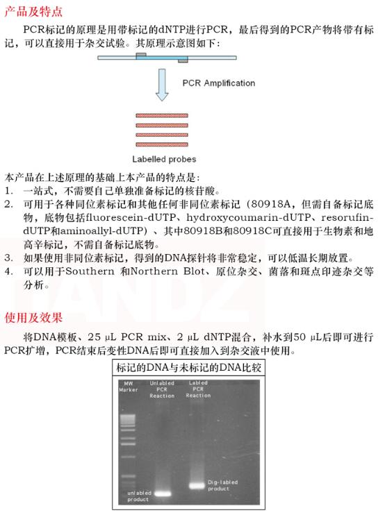 PCR 法 DNA 探针标记试剂盒5次费用