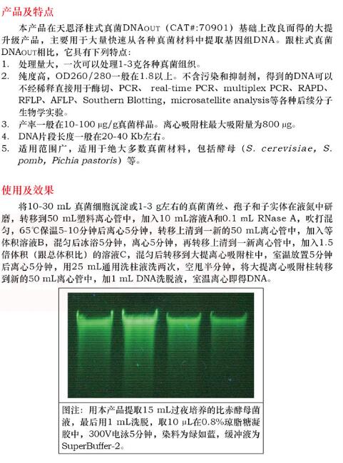 大提柱式真菌 DNAout4次图片