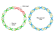 Biospin 无内毒素质粒 DNA 中量快速提取试剂盒