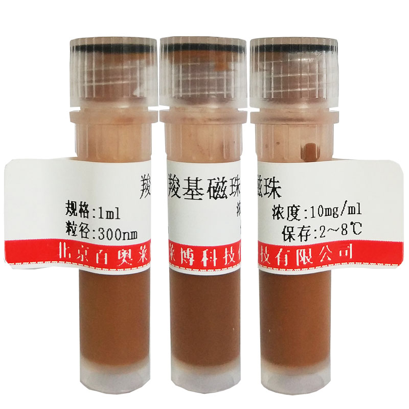 CXCR4拮抗剂（AMD-070 hydrochloride）