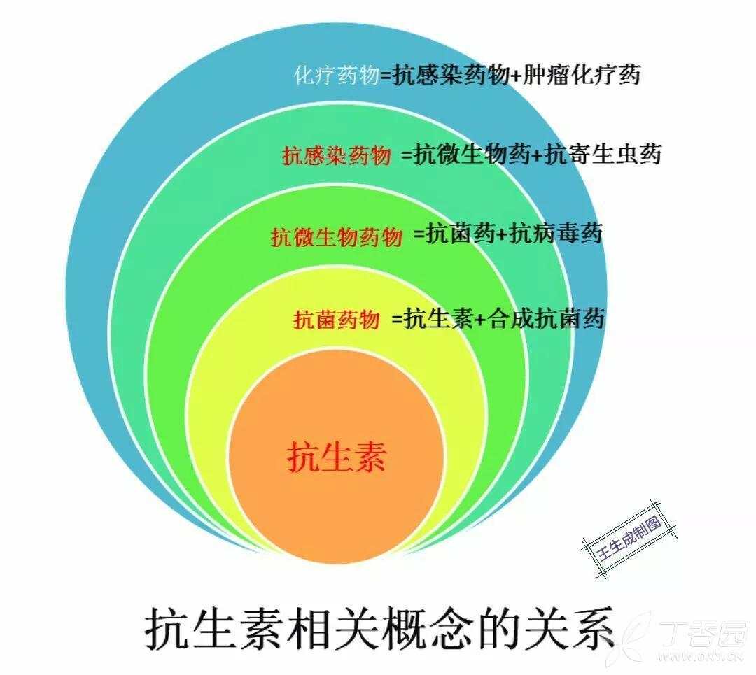 抗生素的合理應用,需要首先知道這些.