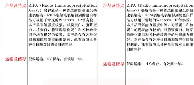 RIPA 裂解液 ( 中 )100mL图片