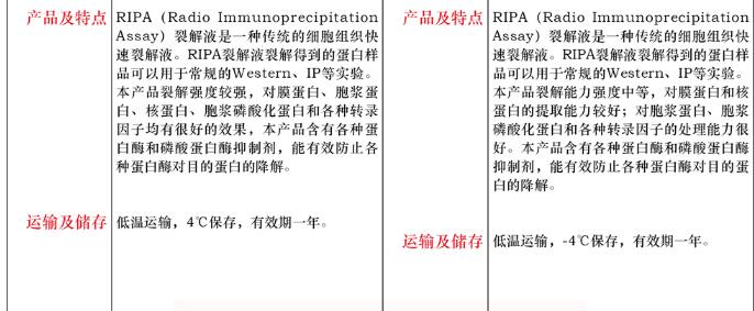 RIPA 裂解液 ( 弱 )100mL说明书