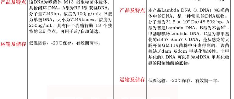 lambda(λ)DNA5μg保存