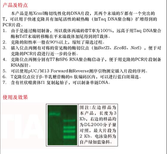即用型蓝白 T 载体 A 型 (T7-SP6,有 MCS)2