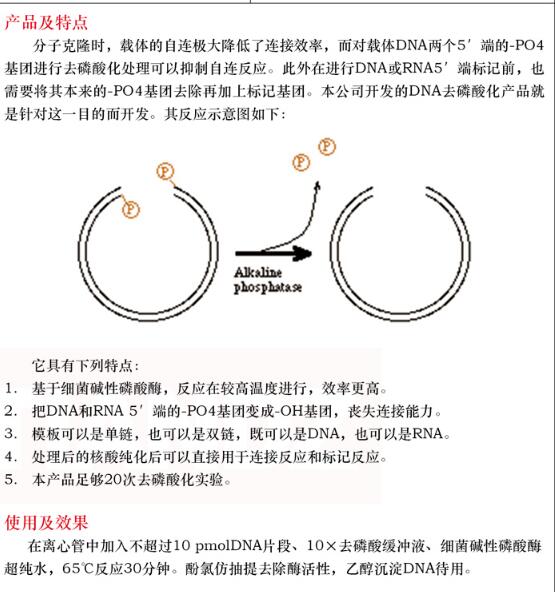 DNA 去磷酸化试剂盒20 次保存