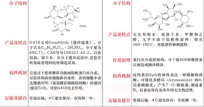 潮霉素 B 干粉250mg图片