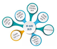 单细胞测序服务