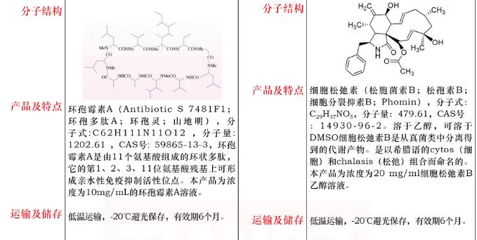 红霉素溶液 ,100mg/mL10mL费用