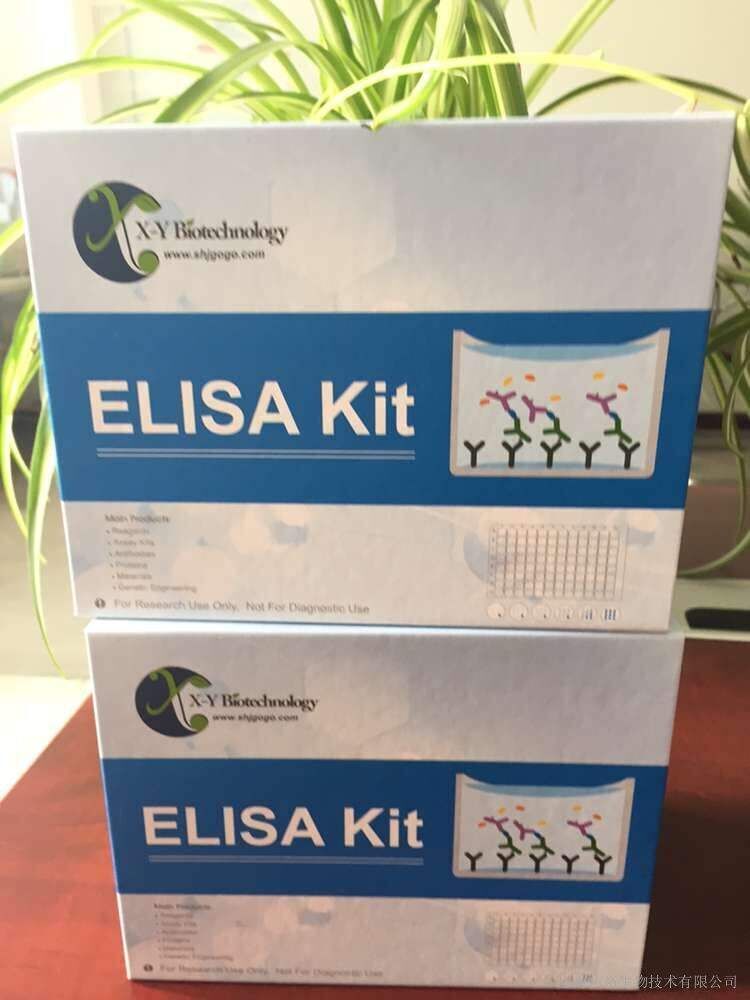 Human NACC2 ELISA Kit
