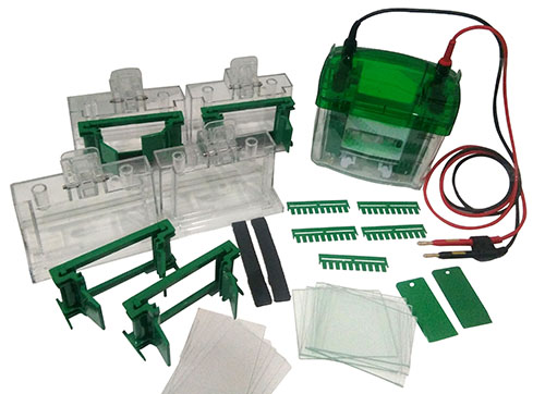 LF-Mini4型小型垂直电泳槽