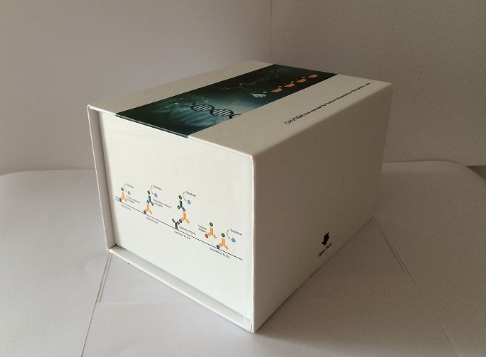 小鼠白介素ELISA试剂盒