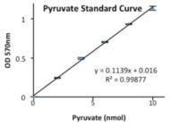 MAK052 ALT Activity Assay