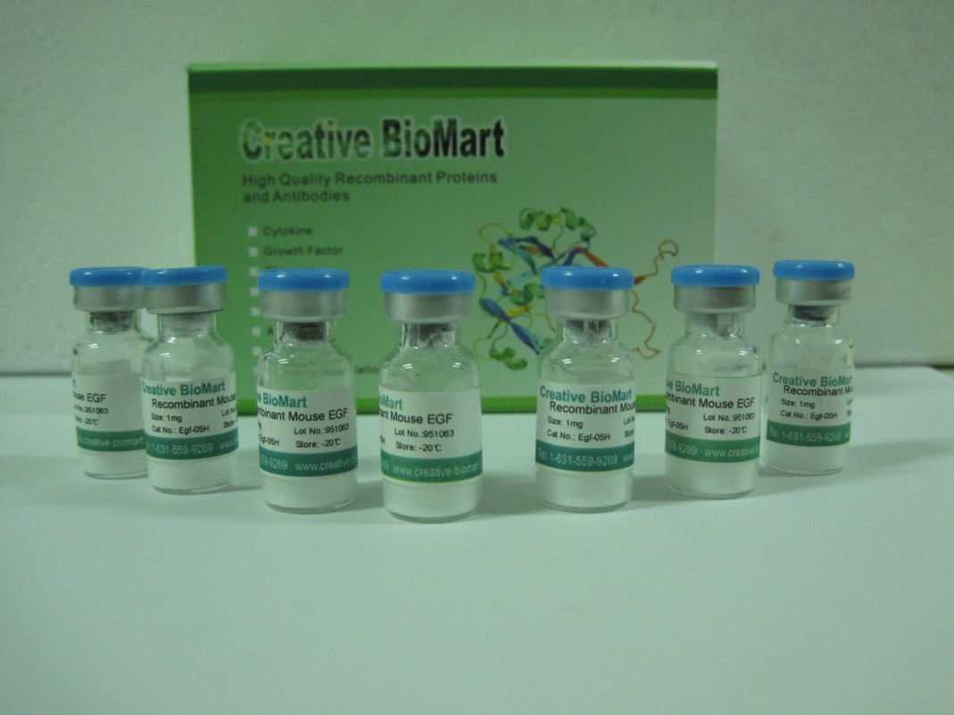Recombinant H13N8 HA cell lysate