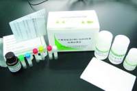 ALP ELISA Kit 哪个牌子好