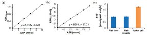 MAK190 ATP Assay Kit ATP 检测试剂盒