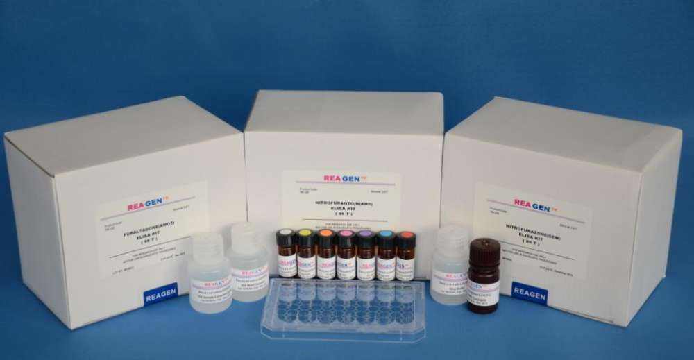 Primarker™人子宫平滑肌细胞鉴定试剂盒