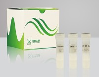 荧光定量PCR检测技术服务(RNA)