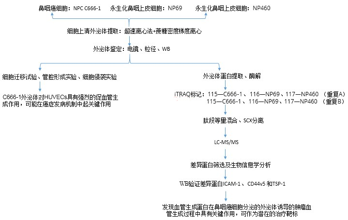 科研集市-17丨蹭热点，当然不能错过的是外泌体及其蛋白质组学研究啦