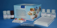 地塞米松酶联免疫试剂盒