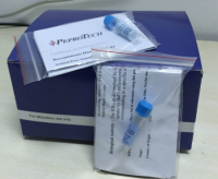 金刚烷胺酶联免疫试剂盒