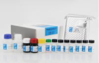 氯霉素酶联免疫试剂盒