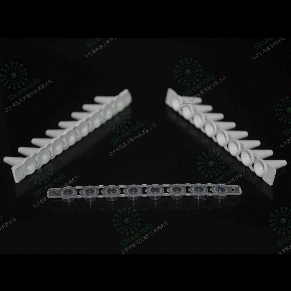 同伯乐TLS0851  0.1ml 荧光定量qPCR 8联管