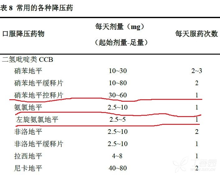 施慧達,拜新同bid給藥問題