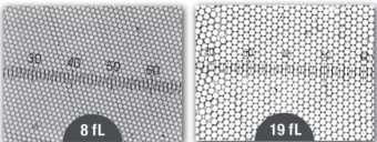 尺度标准微球/标准粒子简介与应用