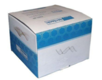 氯霉素快速检测卡