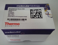 磺胺类快速检测卡(鸡蛋专用)