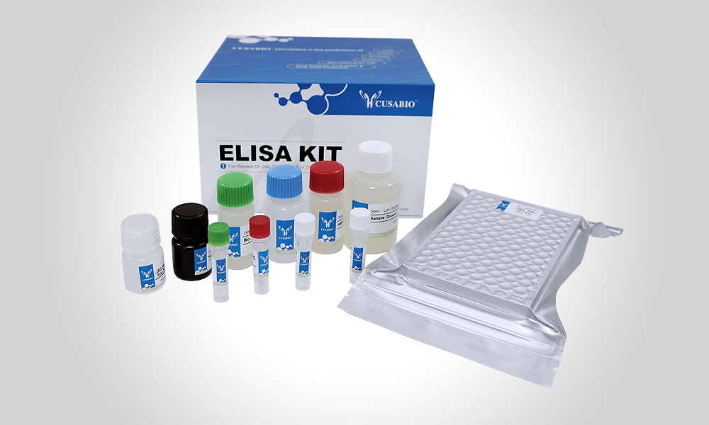 人抗抑制素B抗体(IgG) ELISA kitHuman anti-Inhibin B antibody (IgG) Elisa kit