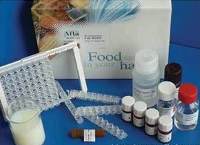 布鲁氏菌ELISA抗体检测试剂盒
