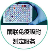 ELISA试剂盒开发