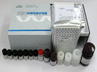 食品安全检测箱（基础型）