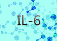 白介素6
