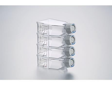 细胞培养瓶, T-25, TC处理, 透气盖, 无菌, 无细胞毒性, 1包x8个