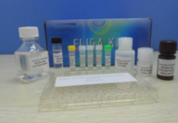 餐饮行业食品安全快检箱