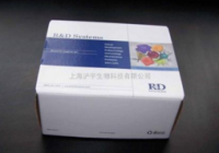 猪繁殖与呼吸综合征病毒抗体快速检测卡