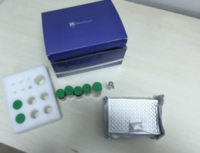 喹诺酮类快速检测卡(液态奶、奶粉)