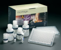 沙丁胺醇快速检测卡（肉样）