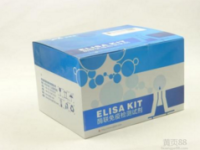 磺胺类快速检测卡I型