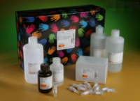 猪圆环病毒2型抗体检测试剂盒