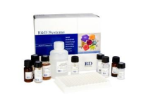 莱克多巴胺快速检测卡(血清)